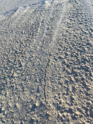 IMG_0102.jpeg