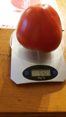 20250724_204303 (2).png