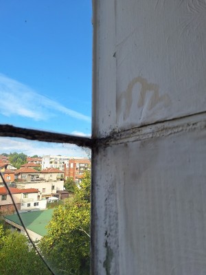 20251001_164225.jpg