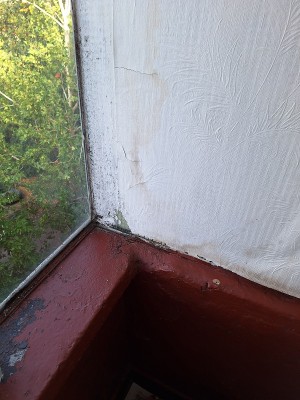 20251001_164323.jpg