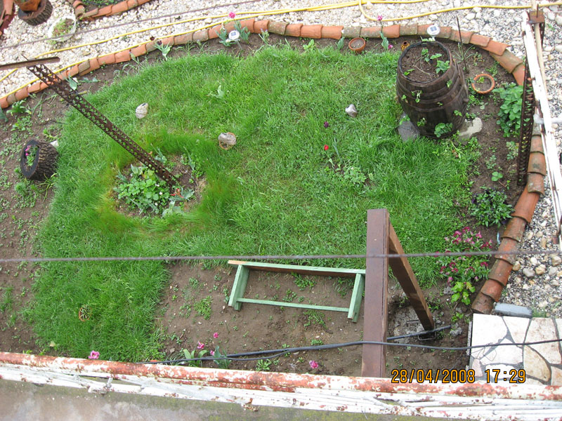 Picture 176-1.jpg