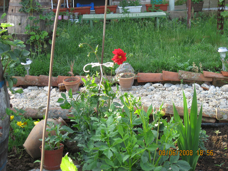 Picture 320-1.jpg