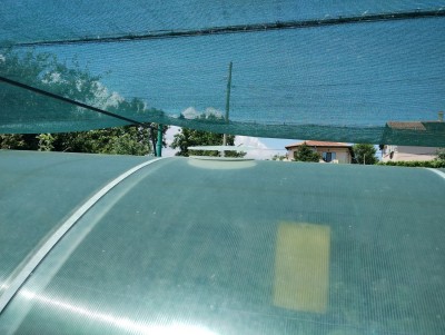 IMG_20260627_115343157.jpg