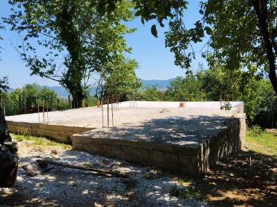 IMG_20260628_110503.jpg