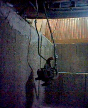 28362_016.jpg