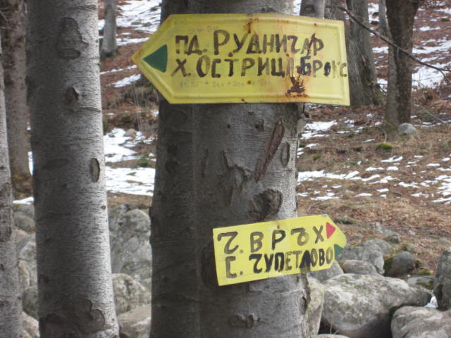 IMG_3810.jpg