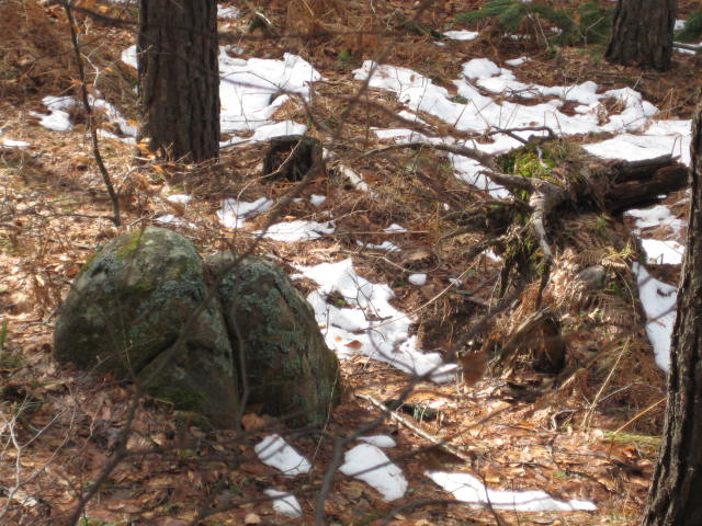 IMG_3785.jpg