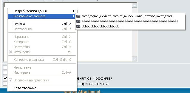opera 1.JPG