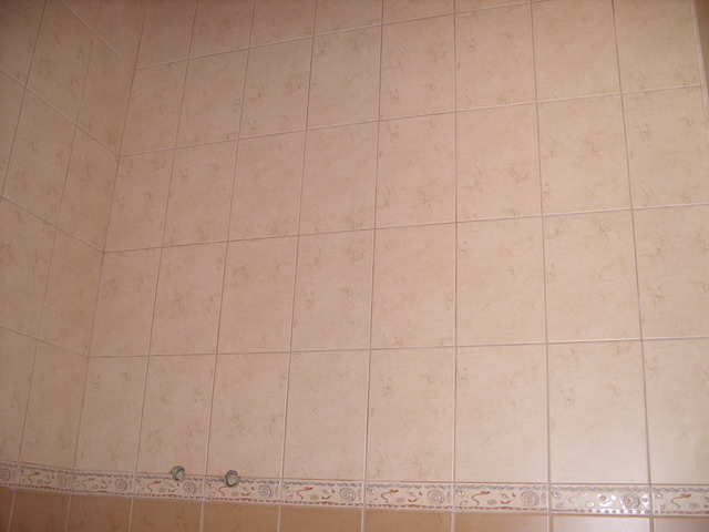 SS850202.jpg