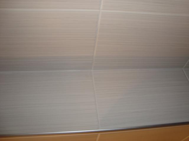 DSC00441.JPG