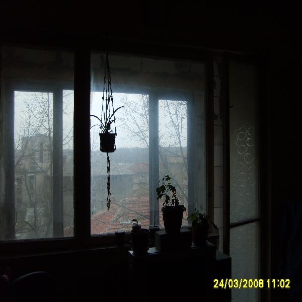 resized_S5000884.JPG