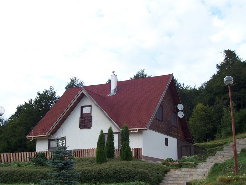 100_5013.JPG