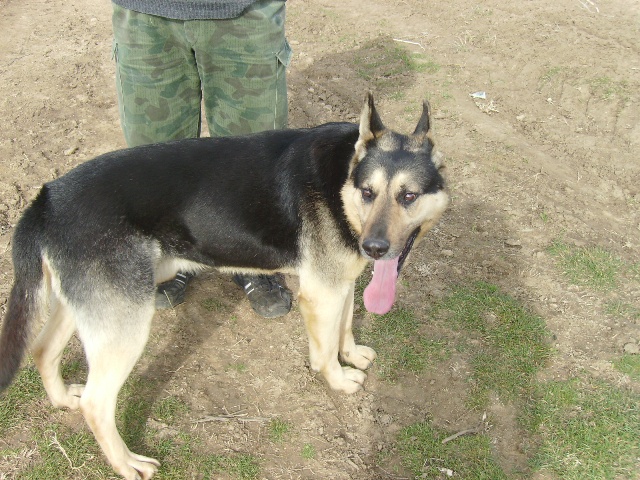 IMGP0003.JPG