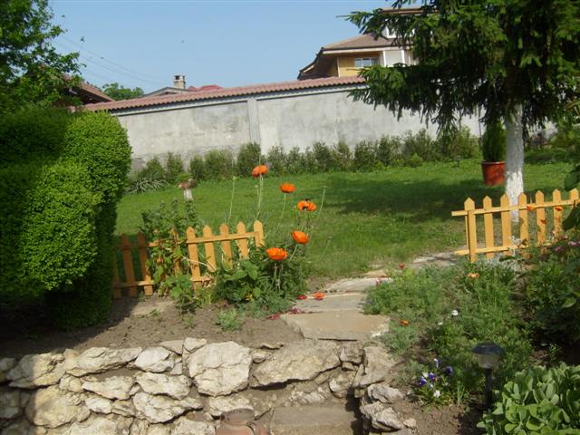 S6300727 (Small).JPG