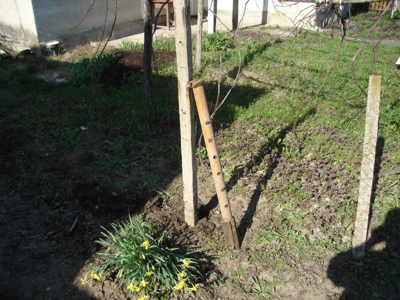 DSC07202.JPG