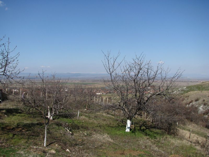 dvor1.jpg
