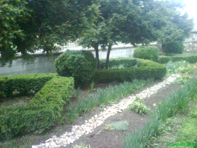 DSC00854.JPG