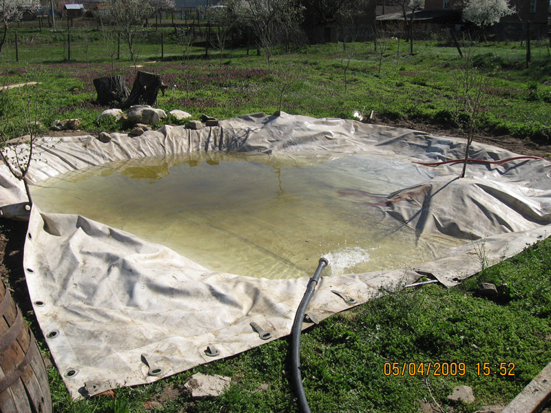 Picture 124-1.jpg