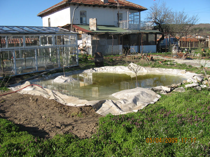 Picture 127-1.jpg