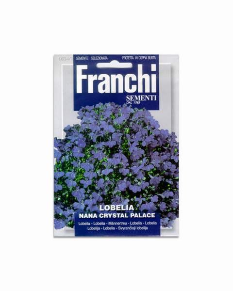LOBELIA_NANA_CRYSTAL_PALACE_LRG.jpg