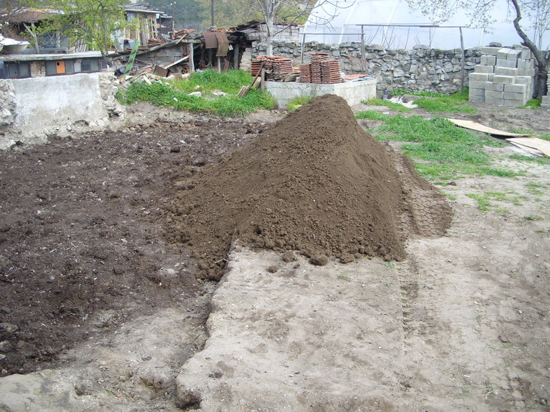 SS850658.jpg