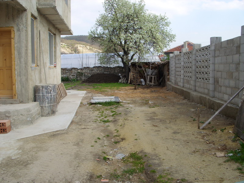 SS850681.jpg