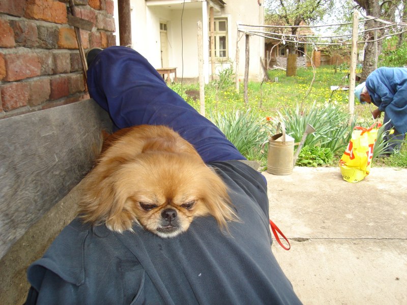 DSC07355.JPG