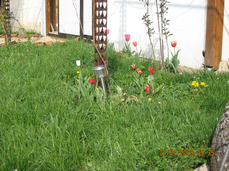 Picture 201-1.jpg