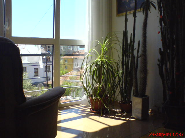 DSC01008.JPG
