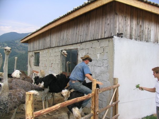 Startsevo (2).jpg