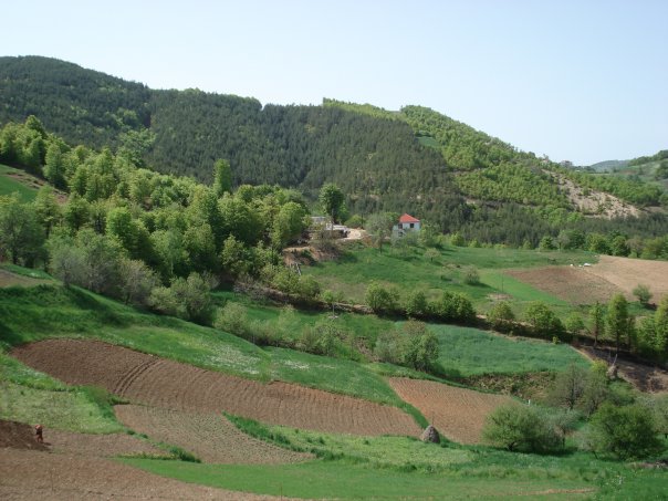 Вилата Белите камани.jpg