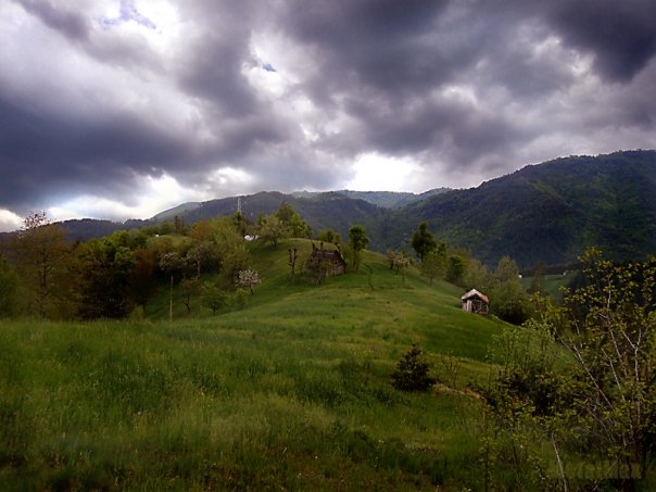n1682175624_16430_4972120.jpg