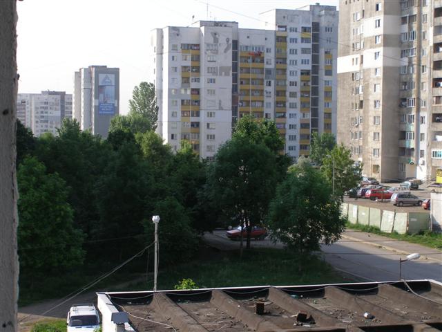Picture 140 (Small).jpg