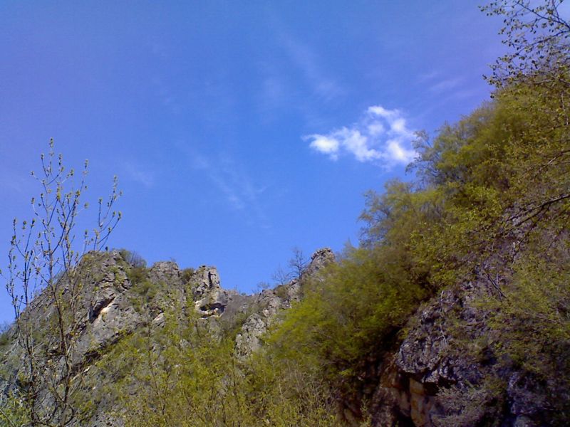 Снимка0030a.jpg