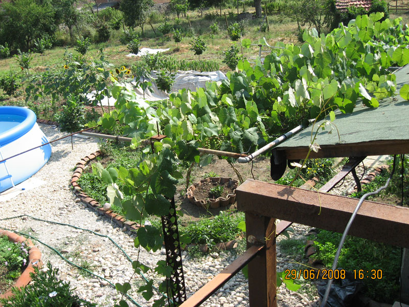 Picture 039-1.jpg