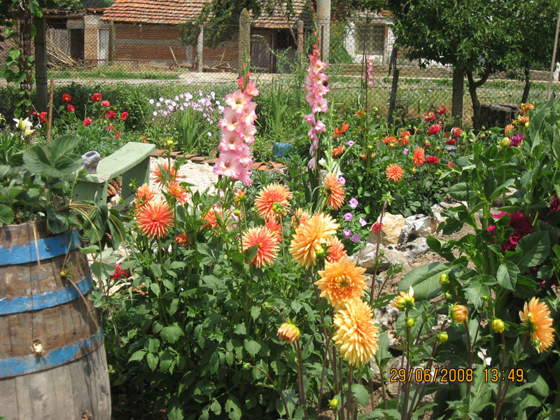 Copy (2) of Picture 016-1.jpg