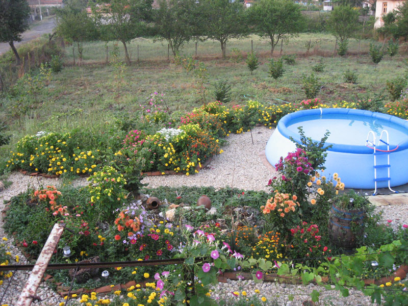 Copy (1) of Picture 040-1.jpg