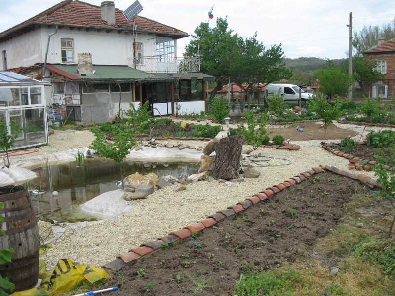 Picture 320-1.jpg