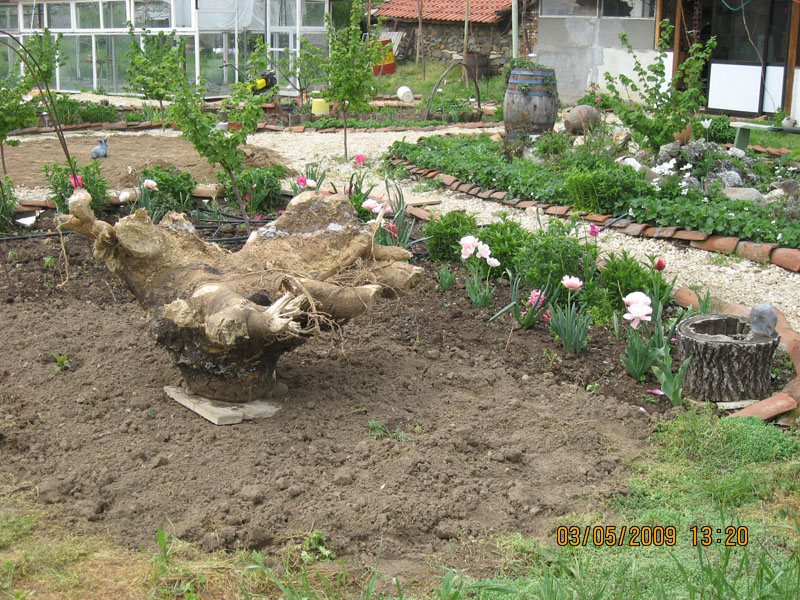Picture 305-1.jpg