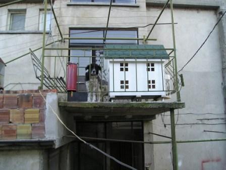 P1010021.JPG