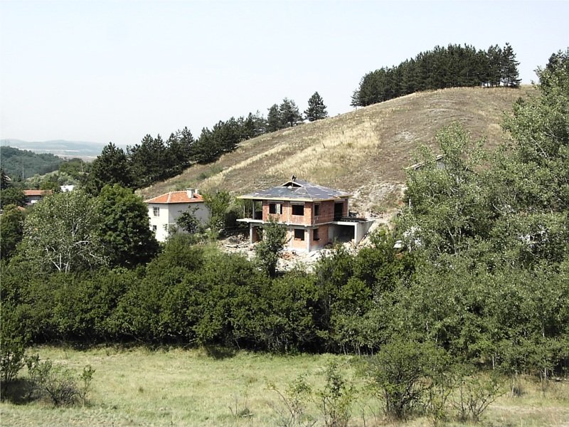Photo.jpg