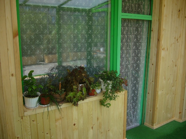 K 005.jpg