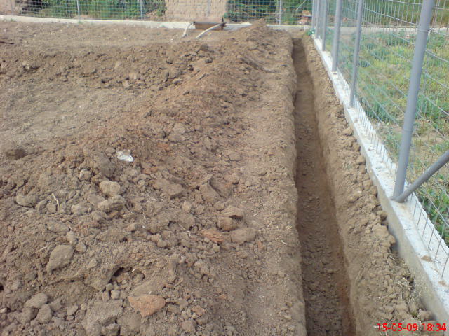DSC00683.JPG