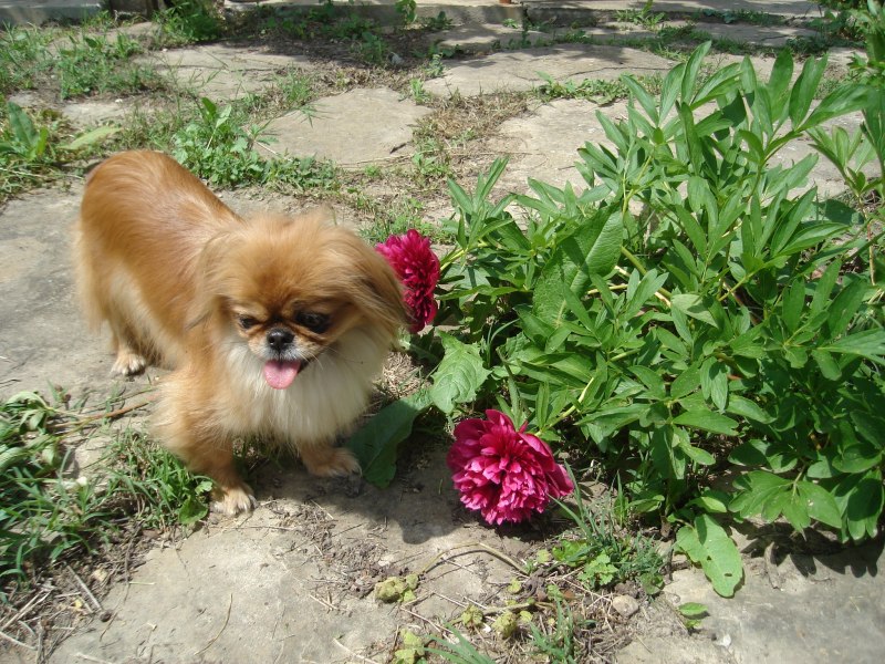 DSC07665.JPG