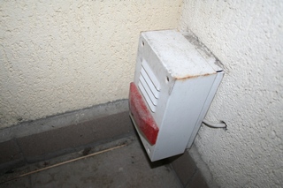 IMG 637.jpg