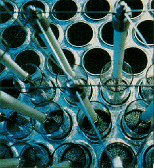 electrodes.gif