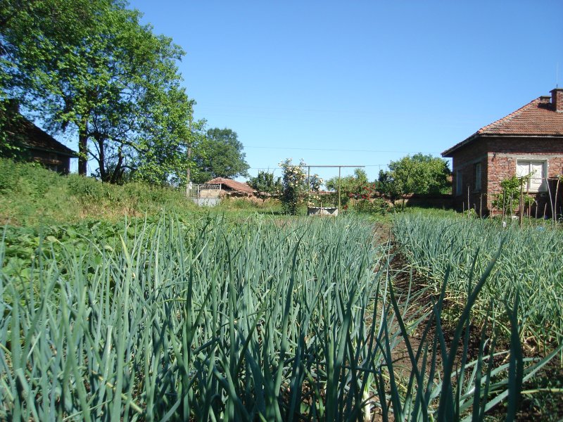 DSC07821.JPG