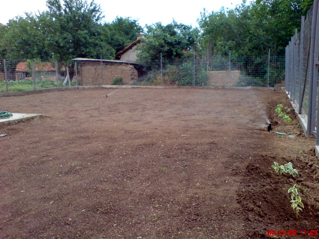 DSC00737.JPG