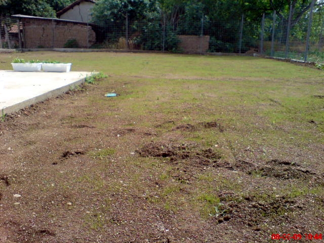 DSC00744.JPG