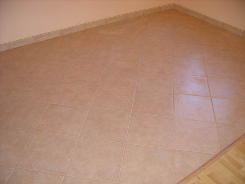 Resize of SS850998.JPG
